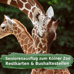 Kölner Zoo Restkarten